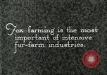 Immagine di Industria Conciaria United States USA, 1930, secondo 5 filmato di repertorio 65675064358