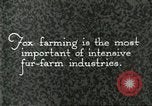 Immagine di Industria Conciaria United States USA, 1930, secondo 8 filmato di repertorio 65675064358