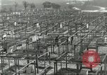 Immagine di Industria Conciaria United States USA, 1930, secondo 22 filmato di repertorio 65675064358