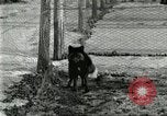 Immagine di Industria Conciaria United States USA, 1930, secondo 39 filmato di repertorio 65675064358