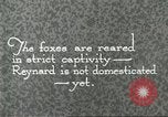 Immagine di Industria Conciaria United States USA, 1930, secondo 42 filmato di repertorio 65675064358