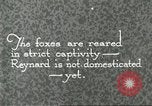 Immagine di Industria Conciaria United States USA, 1930, secondo 43 filmato di repertorio 65675064358