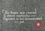 Immagine di Industria Conciaria United States USA, 1930, secondo 44 filmato di repertorio 65675064358