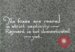 Immagine di Industria Conciaria United States USA, 1930, secondo 45 filmato di repertorio 65675064358