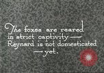 Immagine di Industria Conciaria United States USA, 1930, secondo 46 filmato di repertorio 65675064358
