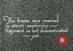 Immagine di Industria Conciaria United States USA, 1930, secondo 47 filmato di repertorio 65675064358