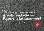 Immagine di Industria Conciaria United States USA, 1930, secondo 48 filmato di repertorio 65675064358