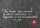 Immagine di Industria Conciaria United States USA, 1930, secondo 49 filmato di repertorio 65675064358