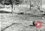 Immagine di Industria Conciaria United States USA, 1930, secondo 51 filmato di repertorio 65675064358
