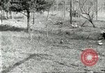 Immagine di Industria Conciaria United States USA, 1930, secondo 53 filmato di repertorio 65675064358