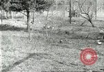 Immagine di Industria Conciaria United States USA, 1930, secondo 54 filmato di repertorio 65675064358