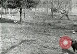 Immagine di Industria Conciaria United States USA, 1930, secondo 55 filmato di repertorio 65675064358