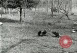 Immagine di Industria Conciaria United States USA, 1930, secondo 56 filmato di repertorio 65675064358