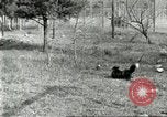 Immagine di Industria Conciaria United States USA, 1930, secondo 57 filmato di repertorio 65675064358