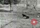 Immagine di Industria Conciaria United States USA, 1930, secondo 58 filmato di repertorio 65675064358