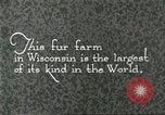 Immagine di Industria Conciaria Wisconsin United States USA, 1930, secondo 3 filmato di repertorio 65675064359