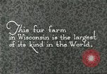 Immagine di Industria Conciaria Wisconsin United States USA, 1930, secondo 5 filmato di repertorio 65675064359