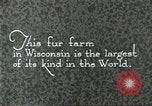 Immagine di Industria Conciaria Wisconsin United States USA, 1930, secondo 6 filmato di repertorio 65675064359