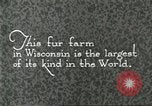 Immagine di Industria Conciaria Wisconsin United States USA, 1930, secondo 9 filmato di repertorio 65675064359