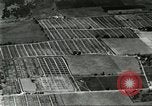 Immagine di Industria Conciaria Wisconsin United States USA, 1930, secondo 10 filmato di repertorio 65675064359