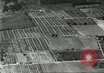 Immagine di Industria Conciaria Wisconsin United States USA, 1930, secondo 11 filmato di repertorio 65675064359