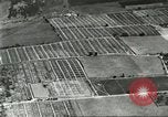 Immagine di Industria Conciaria Wisconsin United States USA, 1930, secondo 12 filmato di repertorio 65675064359