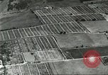 Immagine di Industria Conciaria Wisconsin United States USA, 1930, secondo 13 filmato di repertorio 65675064359