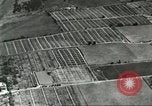 Immagine di Industria Conciaria Wisconsin United States USA, 1930, secondo 14 filmato di repertorio 65675064359