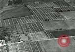 Immagine di Industria Conciaria Wisconsin United States USA, 1930, secondo 15 filmato di repertorio 65675064359