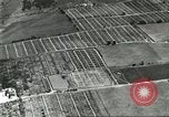 Immagine di Industria Conciaria Wisconsin United States USA, 1930, secondo 16 filmato di repertorio 65675064359