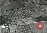 Immagine di Industria Conciaria Wisconsin United States USA, 1930, secondo 18 filmato di repertorio 65675064359