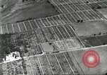 Immagine di Industria Conciaria Wisconsin United States USA, 1930, secondo 19 filmato di repertorio 65675064359