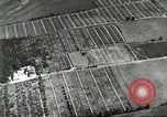 Immagine di Industria Conciaria Wisconsin United States USA, 1930, secondo 22 filmato di repertorio 65675064359