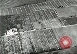 Immagine di Industria Conciaria Wisconsin United States USA, 1930, secondo 23 filmato di repertorio 65675064359