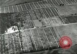 Immagine di Industria Conciaria Wisconsin United States USA, 1930, secondo 24 filmato di repertorio 65675064359