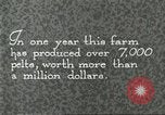 Immagine di Industria Conciaria Wisconsin United States USA, 1930, secondo 25 filmato di repertorio 65675064359