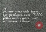Immagine di Industria Conciaria Wisconsin United States USA, 1930, secondo 26 filmato di repertorio 65675064359