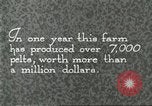Immagine di Industria Conciaria Wisconsin United States USA, 1930, secondo 27 filmato di repertorio 65675064359
