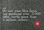 Immagine di Industria Conciaria Wisconsin United States USA, 1930, secondo 28 filmato di repertorio 65675064359