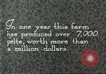 Immagine di Industria Conciaria Wisconsin United States USA, 1930, secondo 29 filmato di repertorio 65675064359