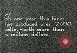 Immagine di Industria Conciaria Wisconsin United States USA, 1930, secondo 30 filmato di repertorio 65675064359