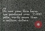 Immagine di Industria Conciaria Wisconsin United States USA, 1930, secondo 31 filmato di repertorio 65675064359