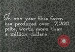 Immagine di Industria Conciaria Wisconsin United States USA, 1930, secondo 33 filmato di repertorio 65675064359