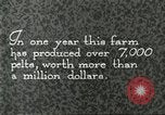 Immagine di Industria Conciaria Wisconsin United States USA, 1930, secondo 35 filmato di repertorio 65675064359