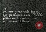 Immagine di Industria Conciaria Wisconsin United States USA, 1930, secondo 37 filmato di repertorio 65675064359
