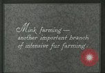 Image of fur industry United States USA, 1930, second 3 stock footage video 65675064360