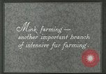 Image of fur industry United States USA, 1930, second 6 stock footage video 65675064360