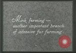 Image of fur industry United States USA, 1930, second 8 stock footage video 65675064360