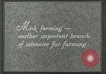 Image of fur industry United States USA, 1930, second 9 stock footage video 65675064360