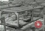 Image of fur industry United States USA, 1930, second 23 stock footage video 65675064360